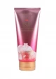 DEAR BODY B.CREAM  SHEER 62104 World Shop