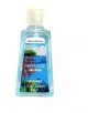 DEAR BODY ALCOHOL GEL PARADIS ISLAND 83731 29ML World Shop