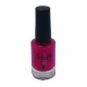 ISABELLE DUPONT ESMALTE COQUETTE 748 World Shop