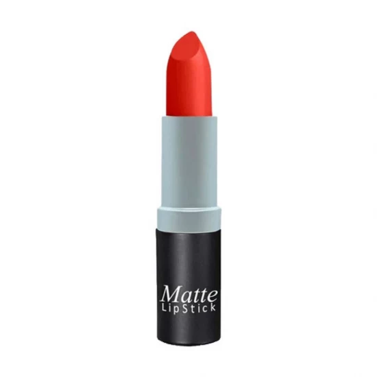 ISABELLE DUPONT LABIAL MATTE M108 World Shop