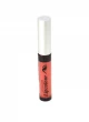 ISABELLE DUPONT LIP COLOR HI-GLOSS LC334 World Shop