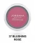 JORDANA RUBOR BLUSHING ROSE 37 World Shop JORDANA RUBOR BLUSHING ROSE 37 World Shop