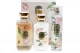 V.V.LOVE KIT  SOJO FLOWER 3PCS    VL9062-8 World Shop