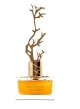 AURORA SCENTS PERFUME FEMENINO DECIDOUS AUTUMN EDP 100ML World Shop