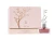 AURORA SCENTS PERFUME FEMENINO DECIDOUS SPRING 100ML World Shop