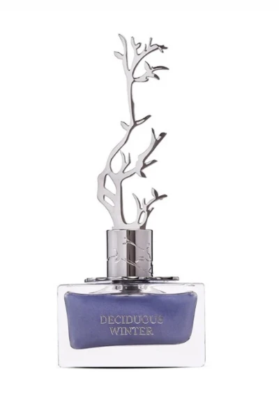 AURORA SCENTS PERFUME FEMENINO DECIDOUS WINTER 100ML World Shop