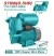 TOTAL BOMBA AGUA  PERIFÉRICA AUTOCEBANTE AUTOMÁTICA  TWP93706 World Shop
