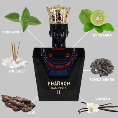 BHARARA PERFUME MASCULINO PHARAOH RAMESSES II EDP 100ML World Shop