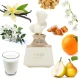 FRENCH AVENUE PERFUME FEMENINO  VENUS DE MILO EDP 100ML World Shop