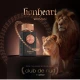 PERFUME ARMAF CLUB DE NUIT LIONHEART FEMENINO EDP 100ML World Shop