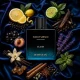 PERFUME  RAYHAAN NOCTURNO ELIXIR EDP MASCULINO 100ML World Shop