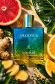PERFUME RAYHAAN AMAZONICA BY JB EDP MASCULINO 100ML World Shop